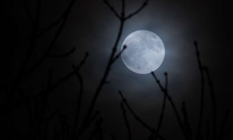 A full moon with branches in the foreground.